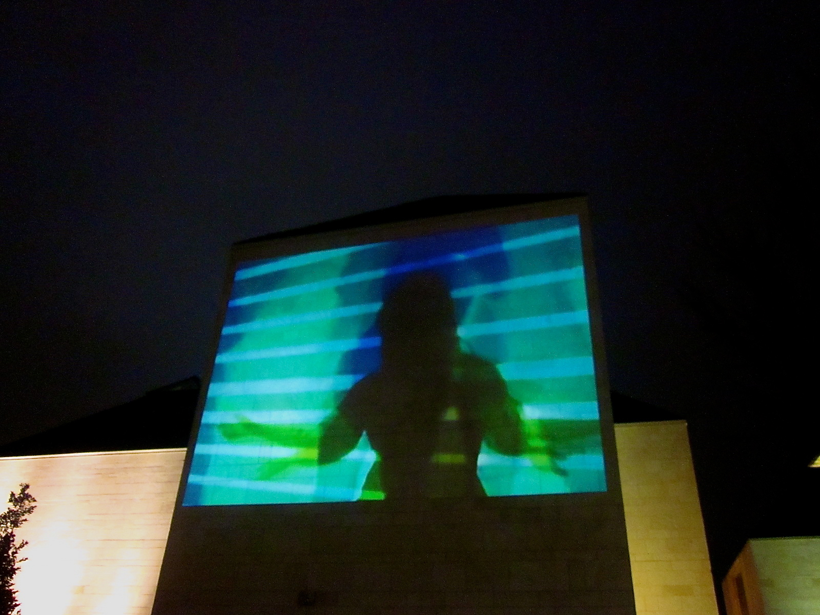 Ghosts in the Attic Fred Jones Jr. Art Museum, Norman, OK 2013