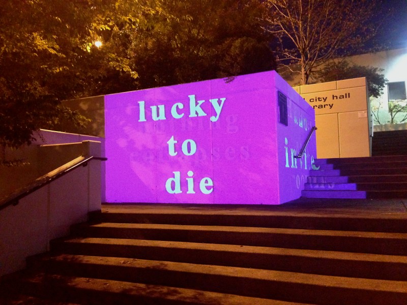 Site-Specific Installation by the Fuzzy Beuys