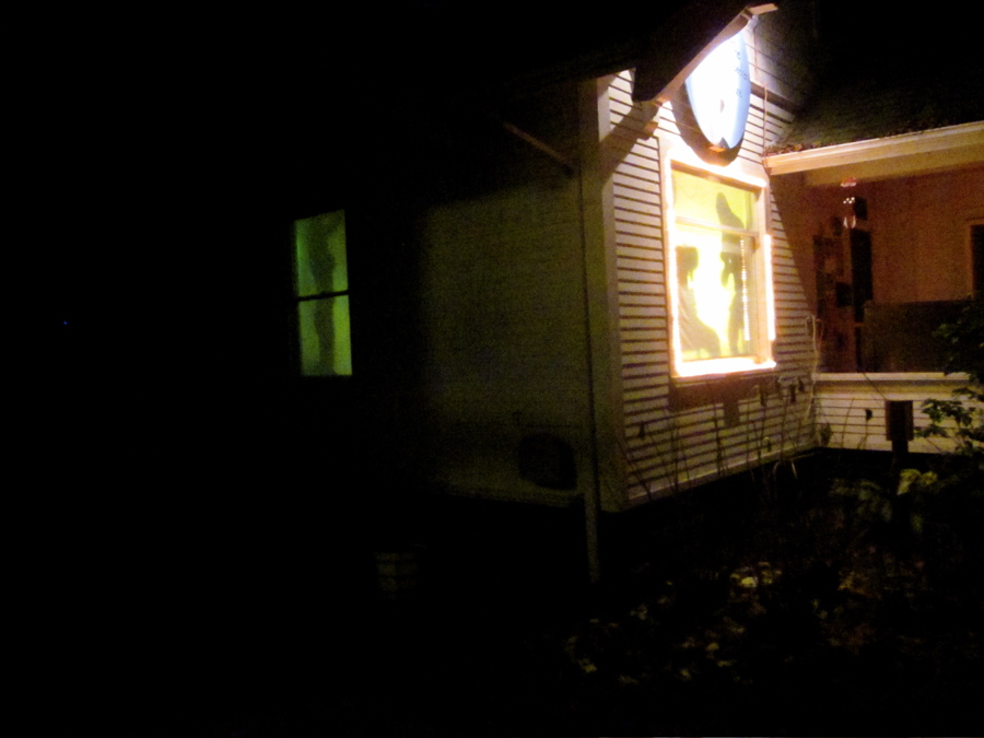 Front Window @ the Woodpecker's Muse - 3