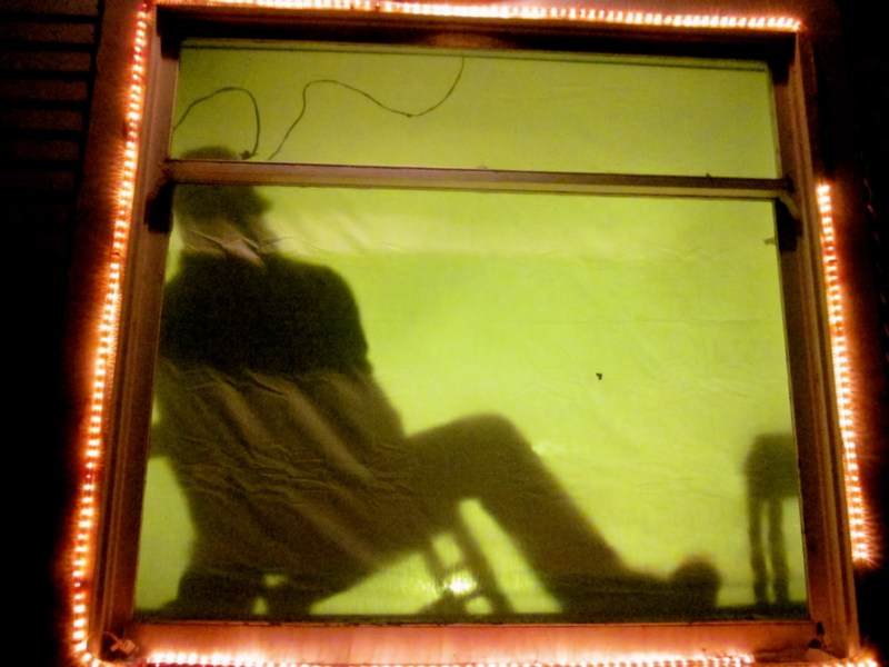 Front Window @ the Woodpecker's Muse - 6