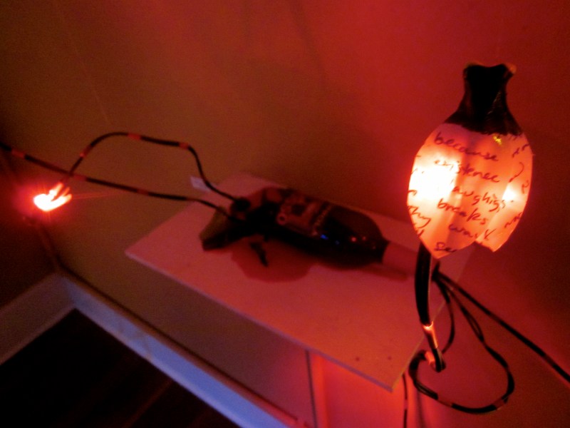 Invasion of the Fireflies - 09