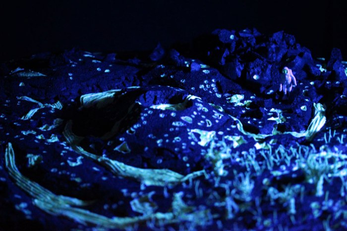 bluespacemanwide(compressed)