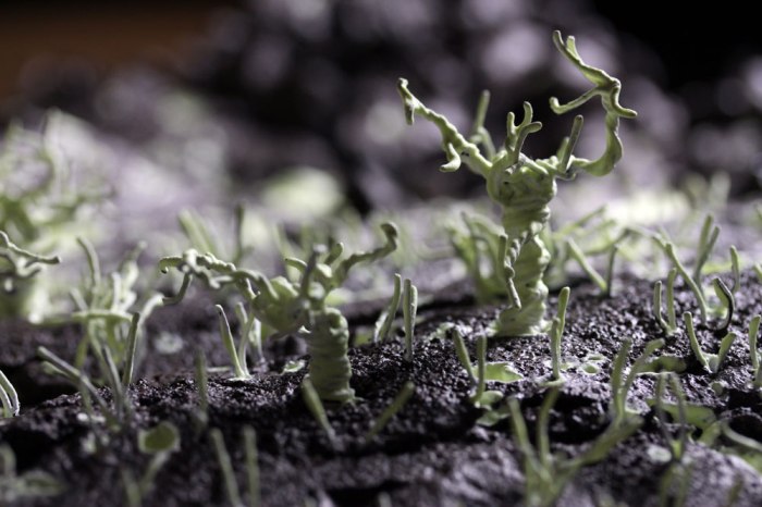 Tree-detail3(compressed)