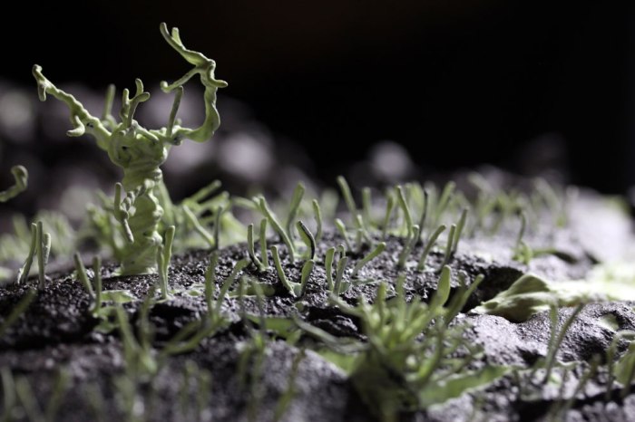 Tree-detail(compressed)