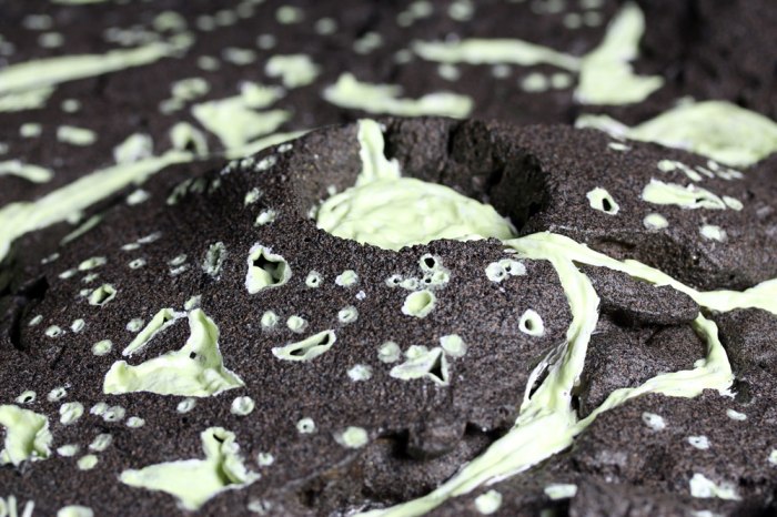 volcano-detail2(compressed)